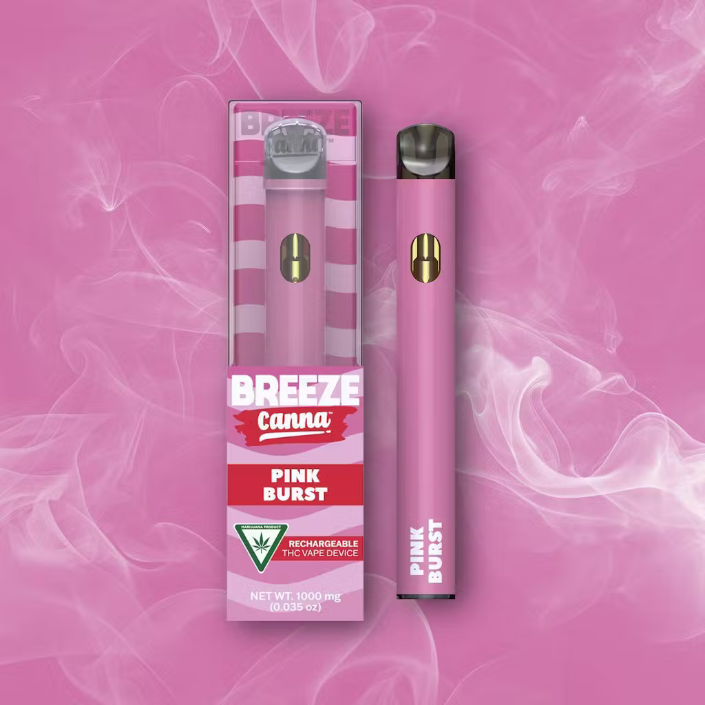 Breeze Canna Pink Burst Breeze Canna Pink Burst