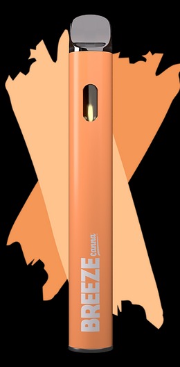 Breeze Canna Sweet Peach Breeze Canna Sweet Peach