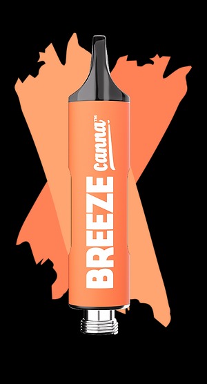 Breeze Canna Rainbow Sherbet Breeze Canna Rainbow Sherbet