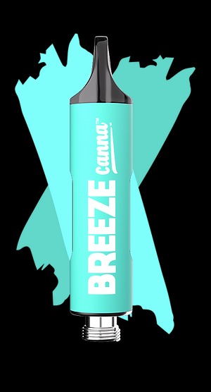 Breeze Canna Watermelon Wave Breeze Canna Watermelon Wave